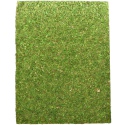 Repti-Zoo Natural Moss Back&Bottom - moss background and substrate 20x30cm